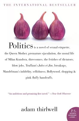 Politics: A Novel