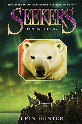 Seekers #5: Fire in the Sky