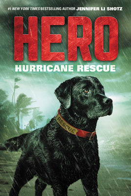 Hero: Hurricane Rescue (Hero, 2)