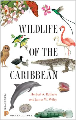 Wildlife of the Caribbean (Princeton Pocket Guides)