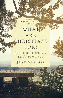 What Are Christians For?: Life Together at the End of the World