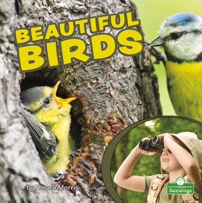 Beautiful Birds (Backyard Science)