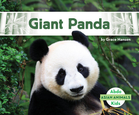 Giant Panda (Asian Animals)