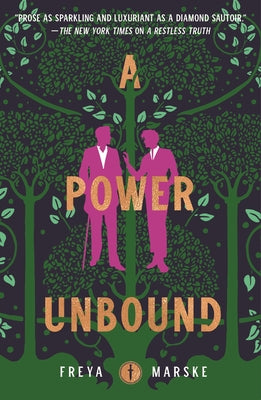 A Power Unbound (The Last Binding, 3)