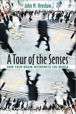 A Tour of the Senses: How Your Brain Interprets the World