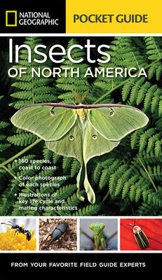 National Geographic Pocket Guide to Insects of North America