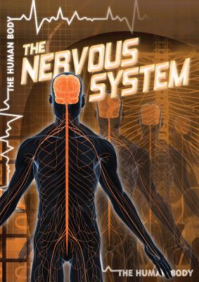 Nervous System (Body Systems)