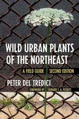 Wild Urban Plants of the Northeast: A Field Guide