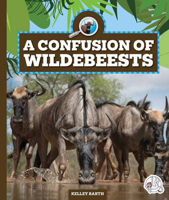 A Confusion of Wildebeests (Safari Animal Families)