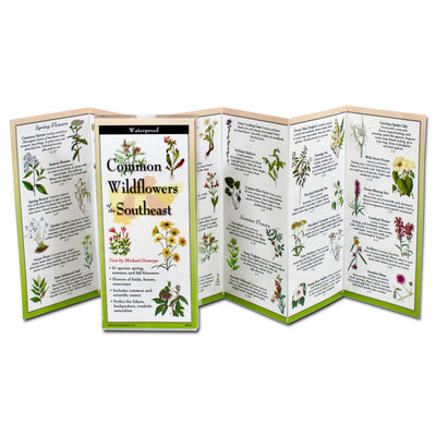 Earth Sky + Water FoldingGuide - Common Wildflowers of the Southeast - 10 Panel Foldable Laminated Nature Identification Guide