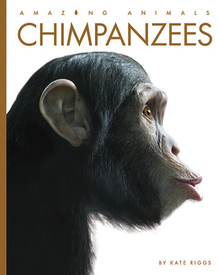 Chimpanzees (Amazing Animals)