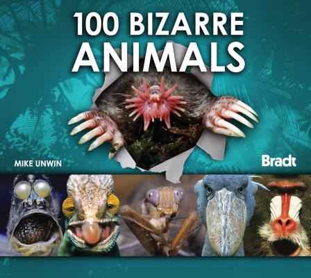 100 Bizarre Animals (Bradt Wildlife Guides)