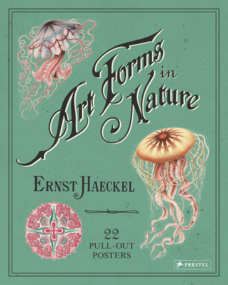 Art Forms in Nature: The Prints of Ernst Haeckel