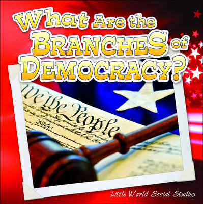 What Are the Branches of Government? (Little World Social Studies)